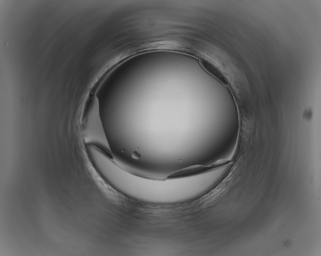 X0000093761426200711061100