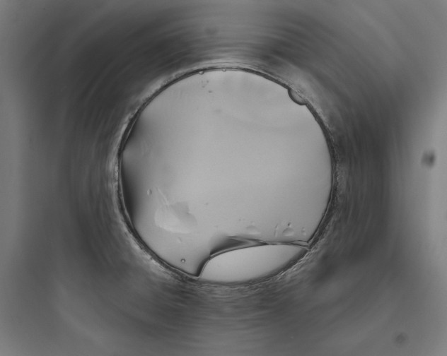 X0000093761428200711061100