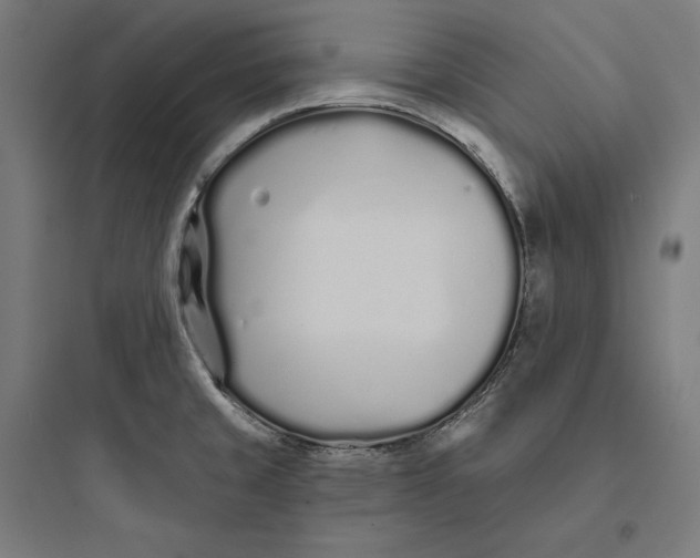 X0000093761429200711061100