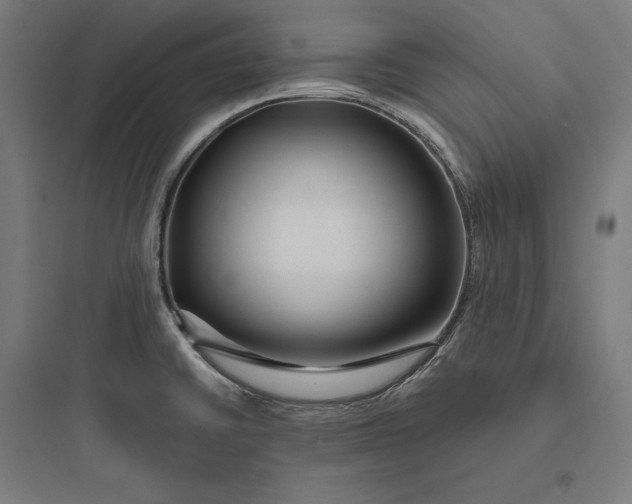 X0000093761430200711061101