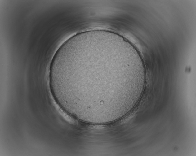 X0000093761431200711061101