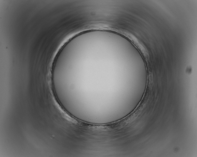 X0000093761432200711061101