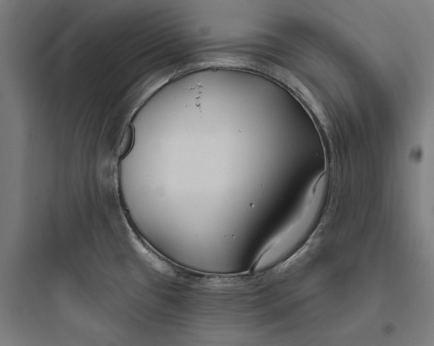 X0000093761433200711061101