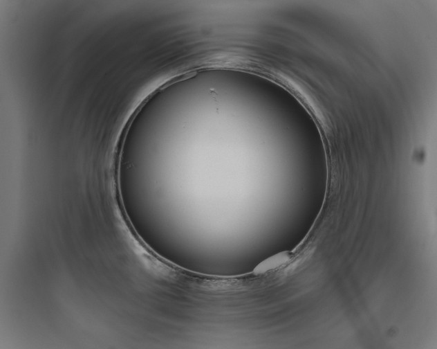 X0000093761434200711061101