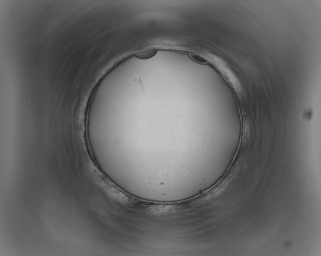 X0000093761435200711061101