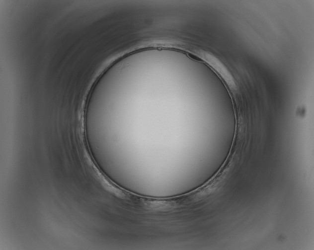 X0000093761436200711061101