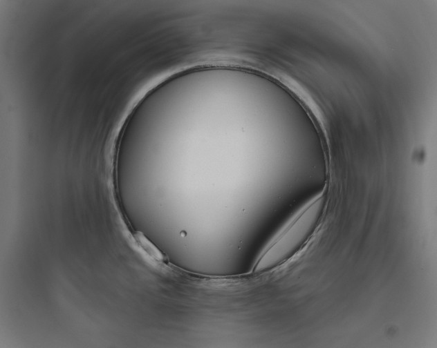 X0000093761437200711061101