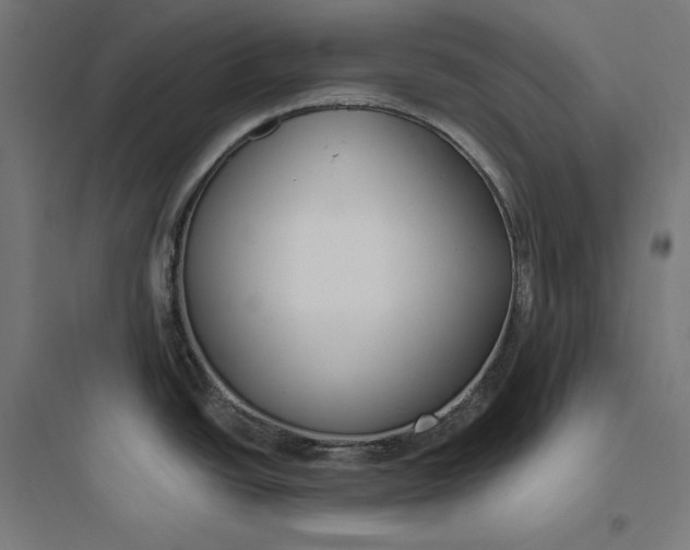 X0000093761438200711061101