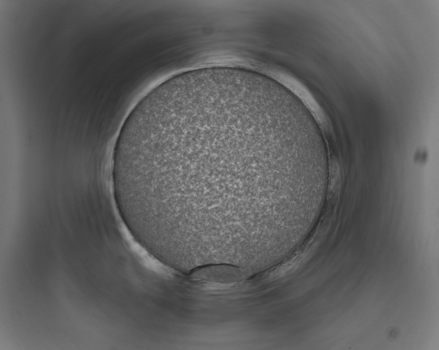 X0000093761439200711061101