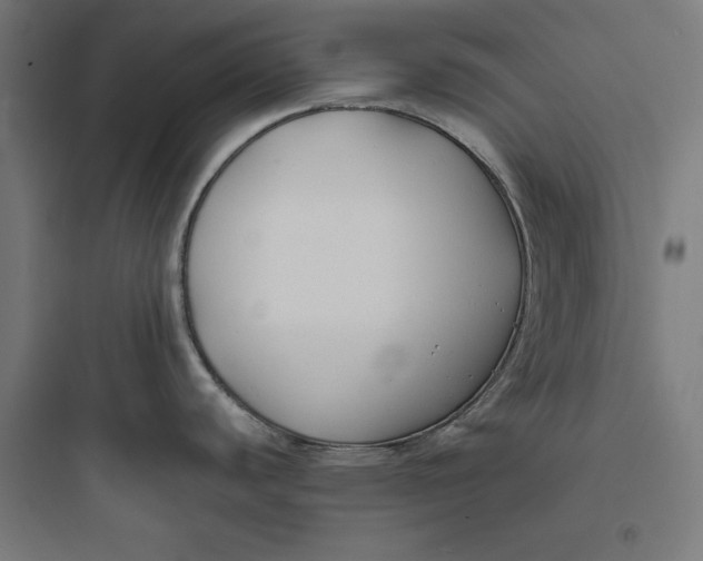 X0000093761440200711061101