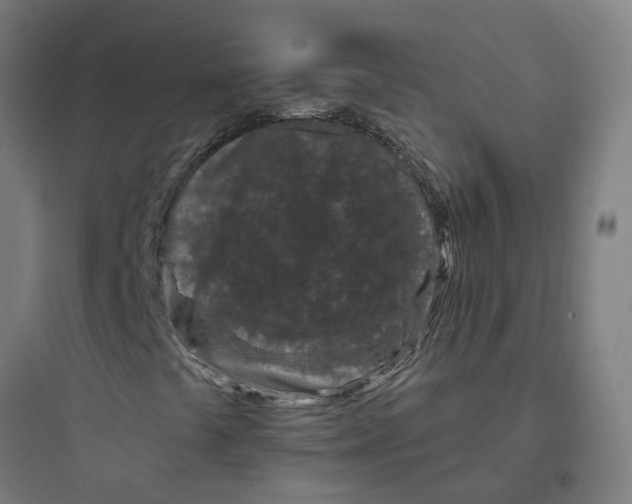 X0000093761441200711061100