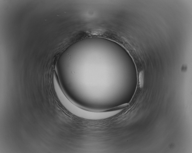 X0000093761443200711061100