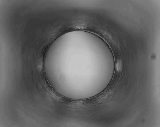 X0000093761444200711061100