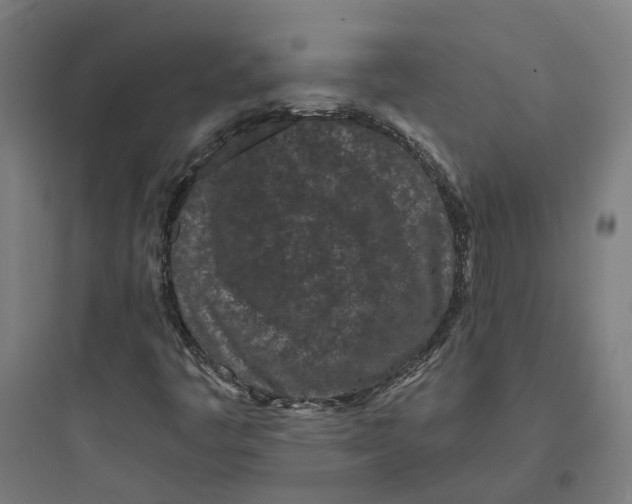 X0000093761445200711061100