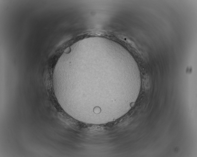 X0000093761446200711061100