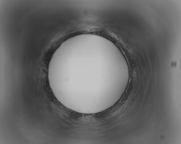 X0000093761447200711061100