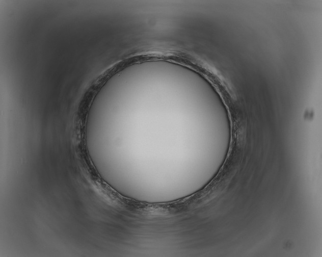 X0000093761448200711061100