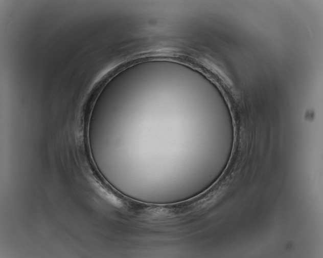 X0000093761450200711061100