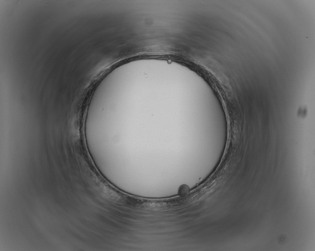 X0000093761451200711061100