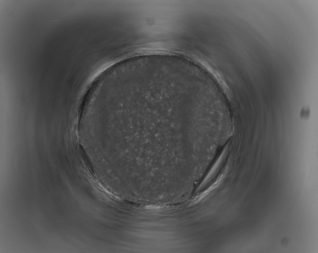 X0000093761453200711061100