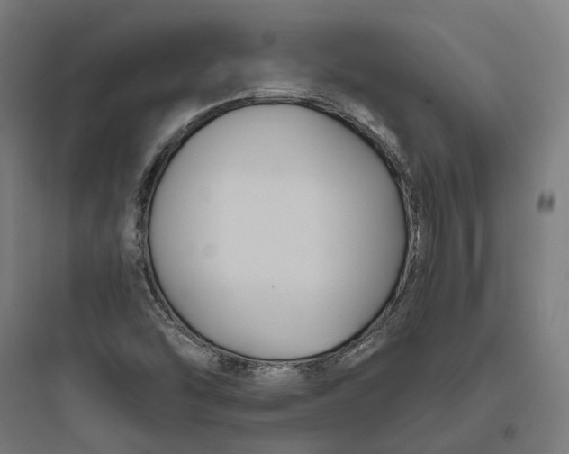 X0000093761454200711061100