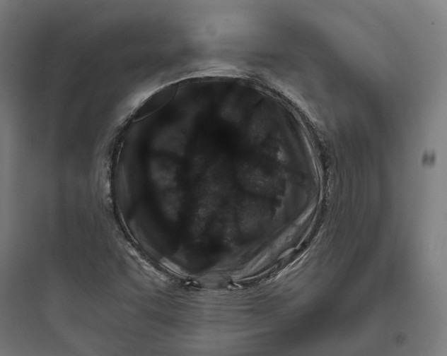 X0000093761455200711061100