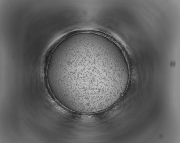 X0000093761456200711061100