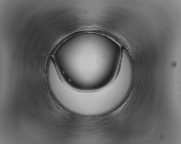 X0000093761457200711061100