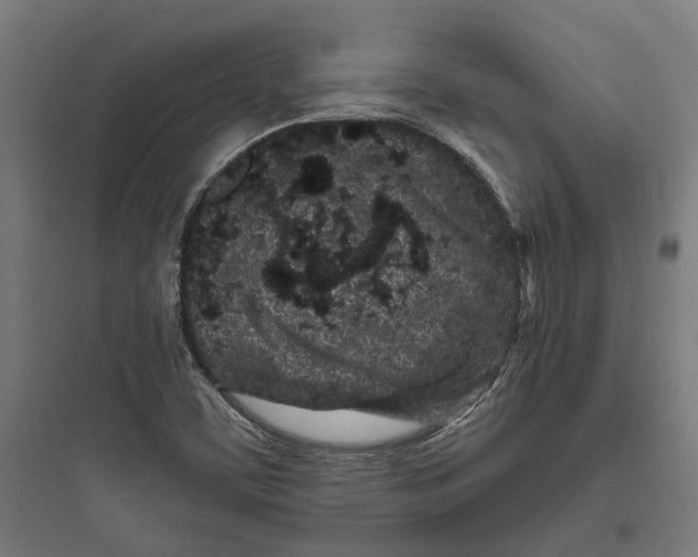 X0000093761459200711061100