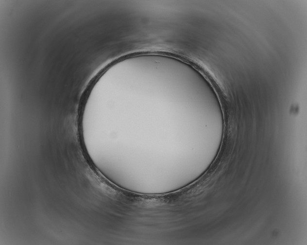 X0000093761460200711061100