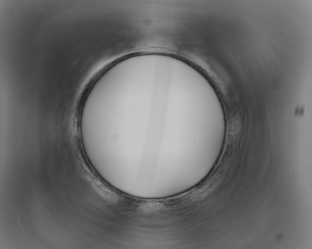 X0000093761462200711061100