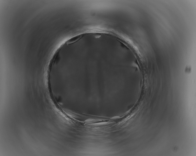 X0000093761463200711061100