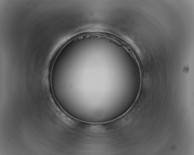 X0000093761464200711061100