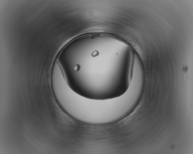 X0000093761465200711061100