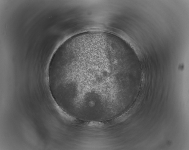 X0000093761466200711061100