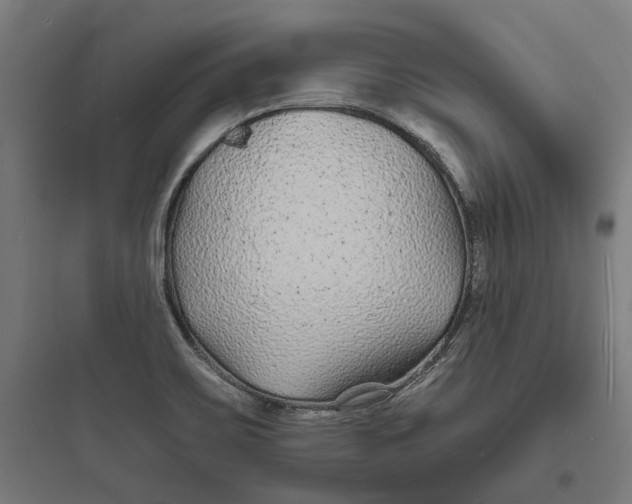 X0000093761467200711061100