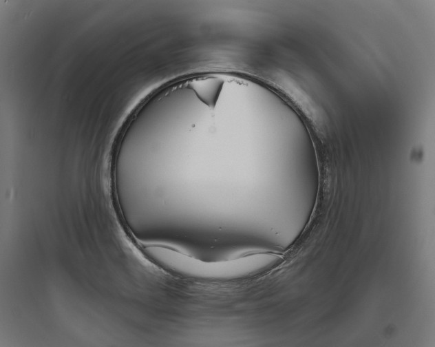 X0000093761468200711061100