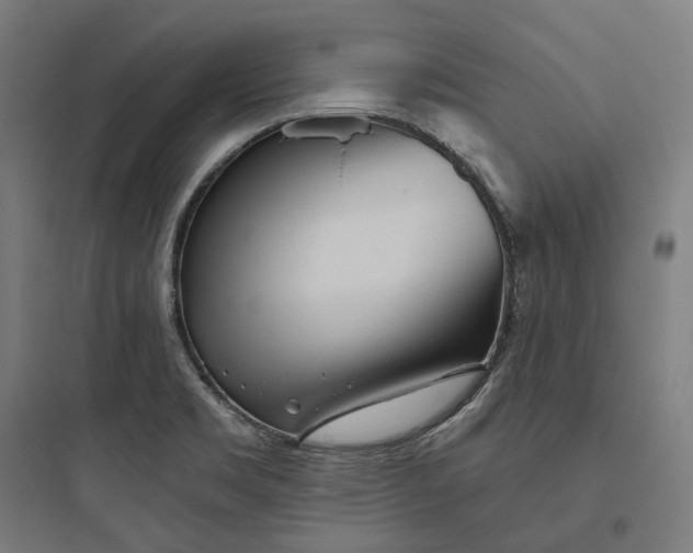 X0000093761469200711061100