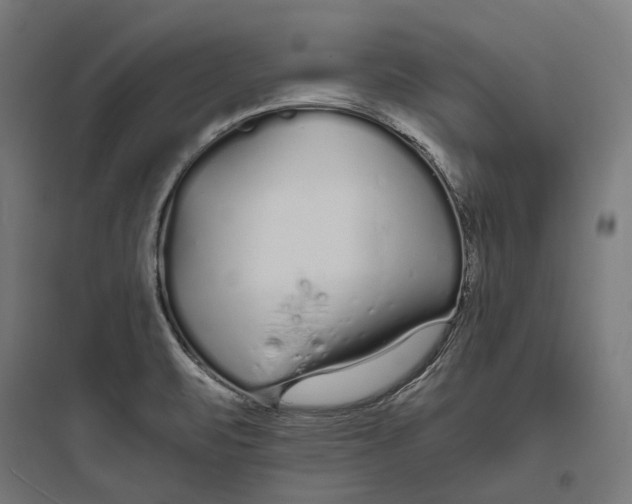 X0000093761471200711061100