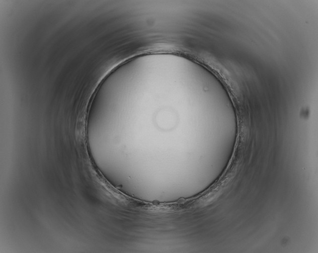 X0000093761473200711061100