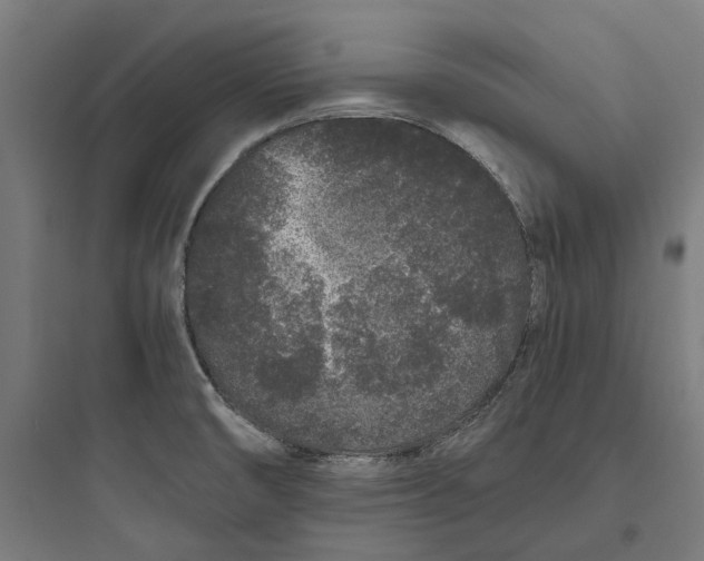 X0000093761474200711061100