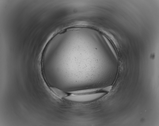 X0000093761475200711061059