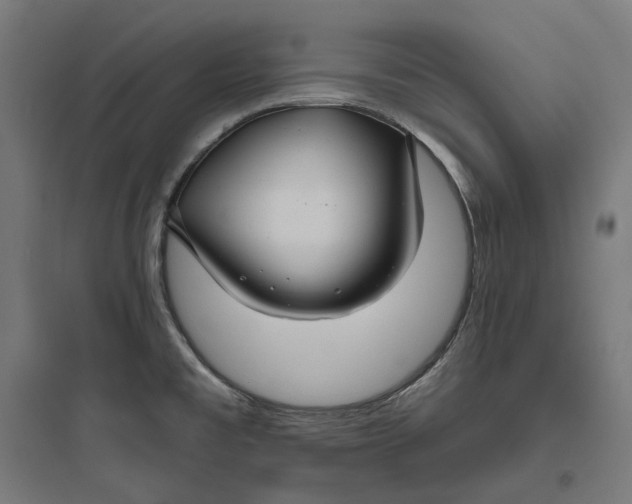 X0000093761477200711061059