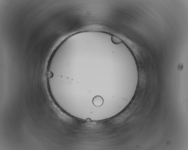 X0000093761478200711061059