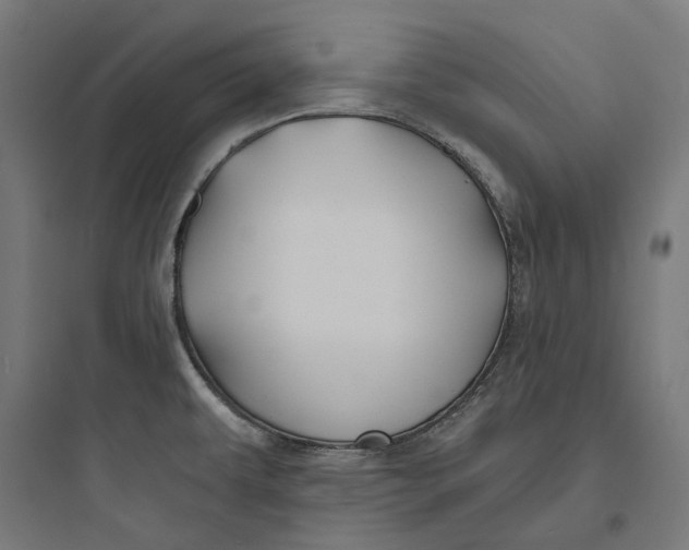 X0000093761479200711061059