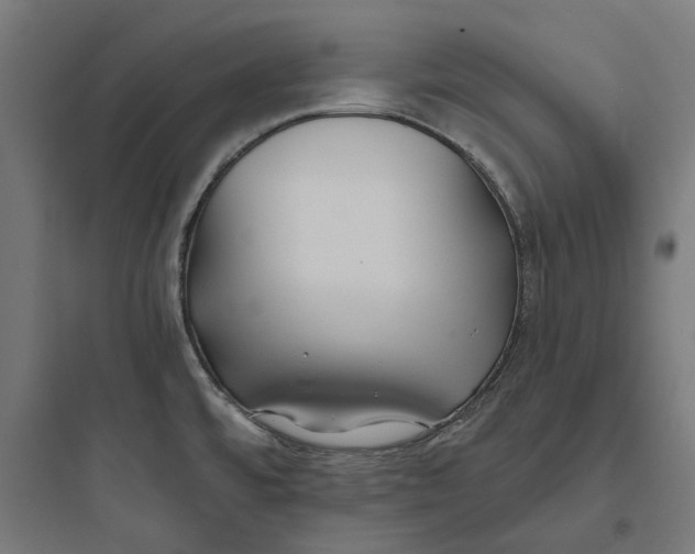 X0000093761480200711061059