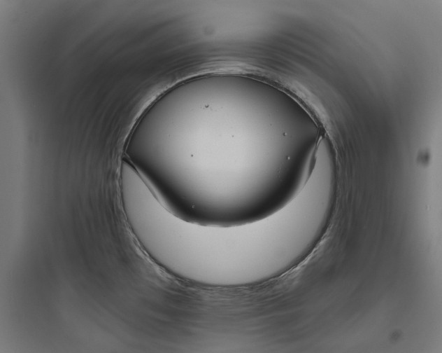 X0000093761481200711061059