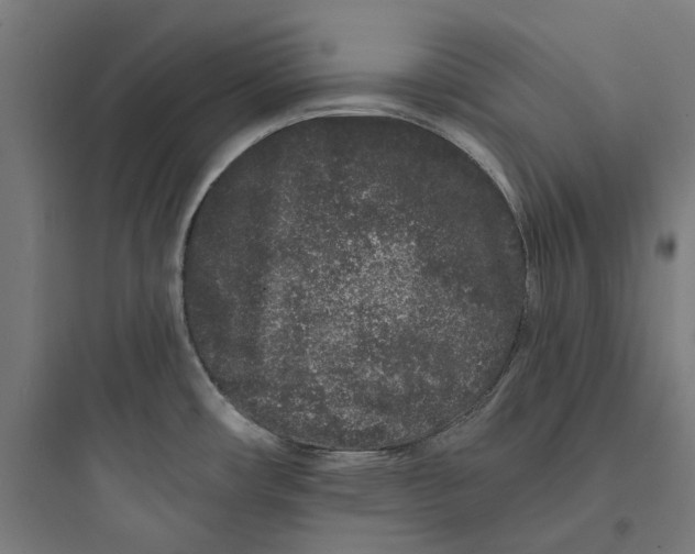 X0000093761482200711061059