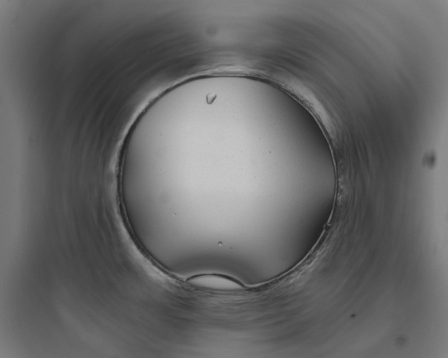 X0000093761483200711061059