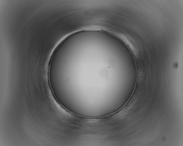 X0000093761484200711061059